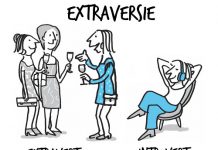 Wat zijn de kenmerken van introverte ondernemers? Introverte ondernemers
