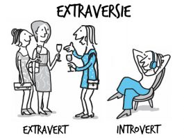Introverte ondernemers